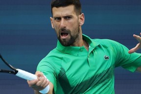 费德勒新星夺冠表现突出，切尔西前途光明！的简单介绍